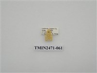 藏品(鉤弧紋豔苔蛾)的圖片